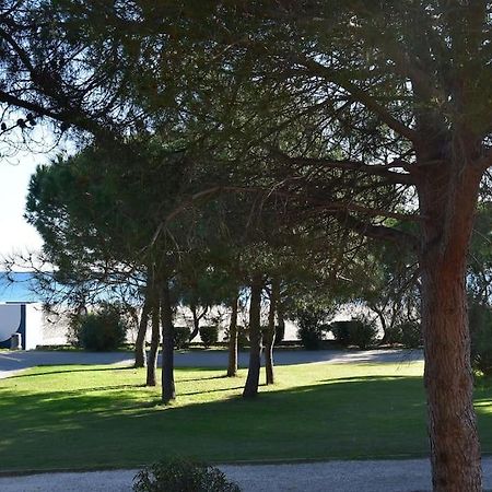 Le Byblos 9 - Vue Mer - Climatisation Plage dʼArgelès Екстериор снимка