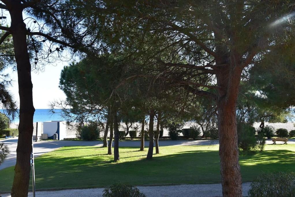 Le Byblos 9 - Vue Mer - Climatisation Plage dʼArgelès Екстериор снимка